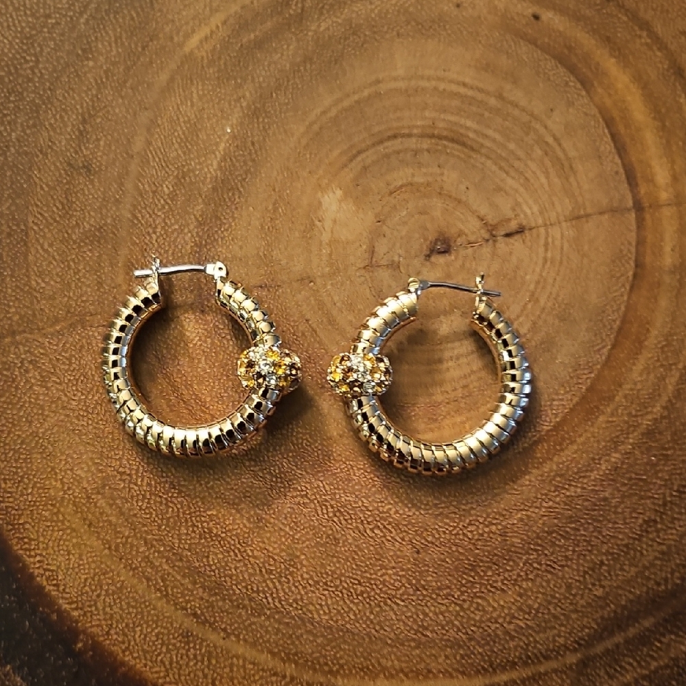 Elegant Gold Hoop Earrings